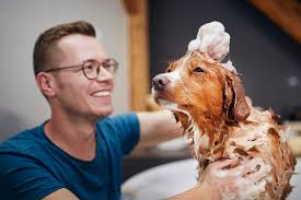 Pet  Care  Near Me