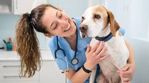 Pet Care Insurance