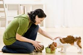 A Complete Guide for New Pet Owners